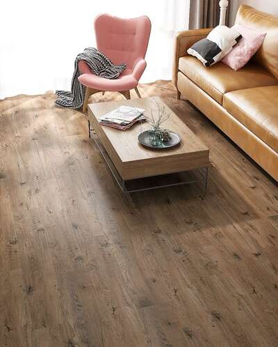 Lions Floor